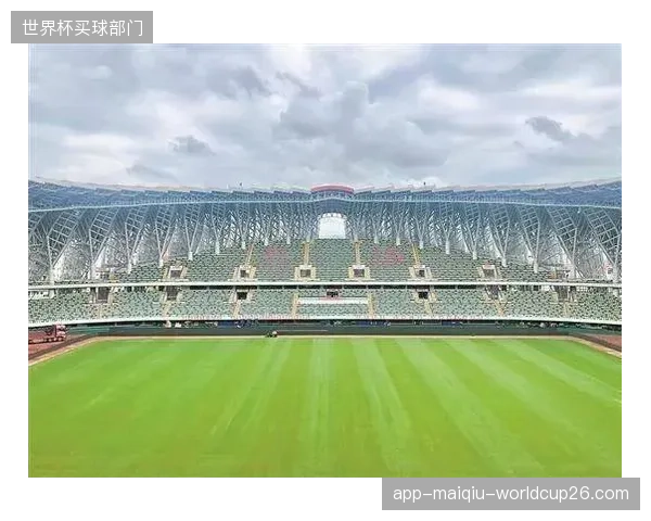 当核心运动装备依赖进口，体育小镇的“产业集群”如何形成闭环？